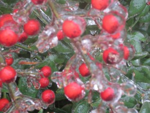 IMG_0761