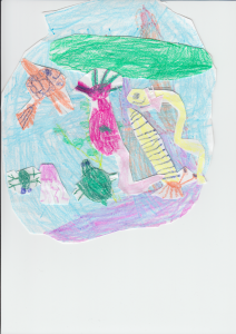 untitled aquarium
