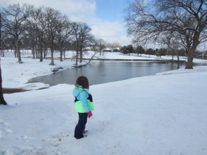 Stopping to admire the frozen pond